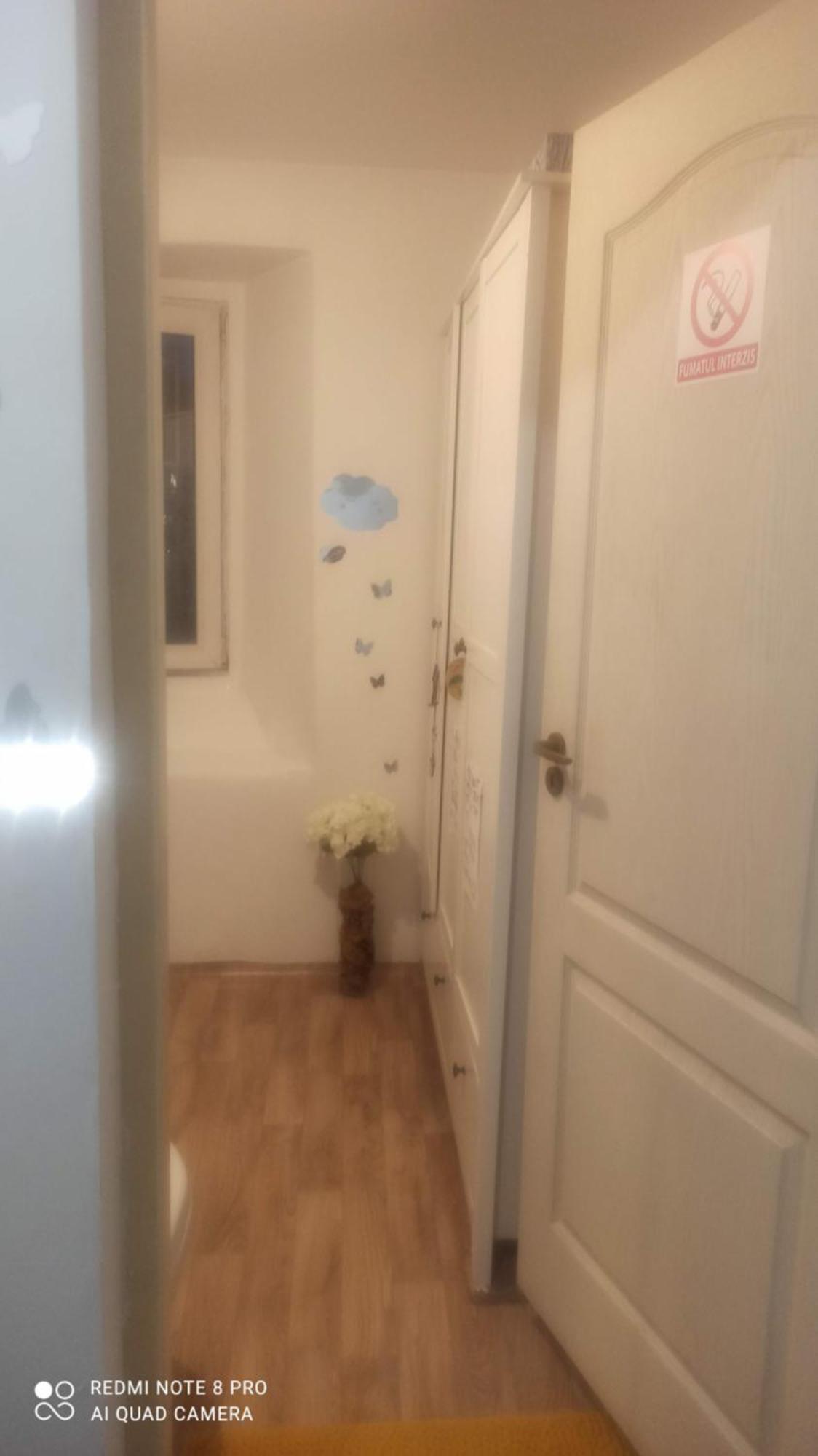 Studio Pe Somes Клуж-Напока Екстер'єр фото